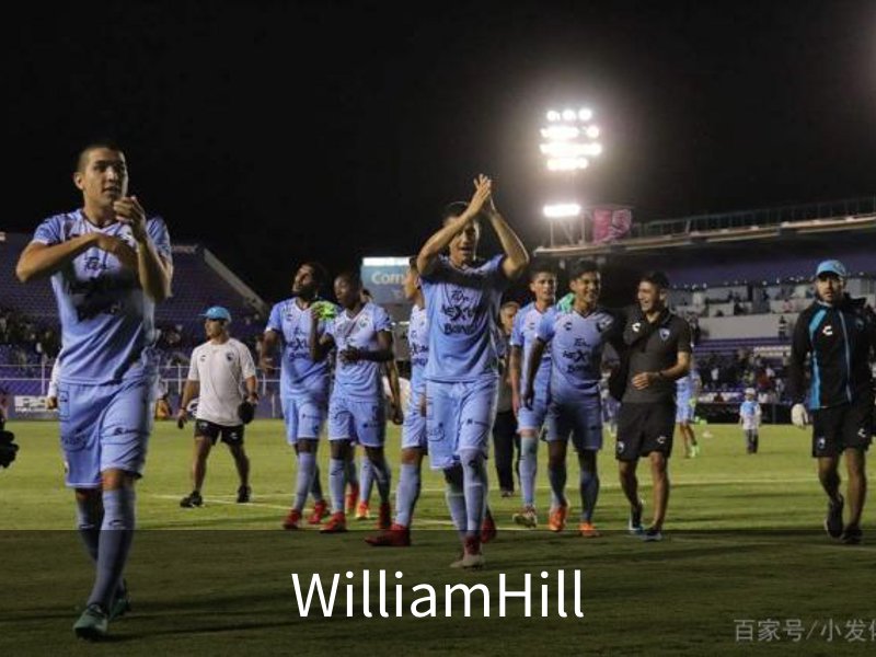 英国·威廉希尔williamhill(中国)-官方网站